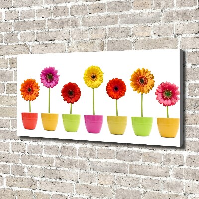 Canvas wall art Colorful gerberas