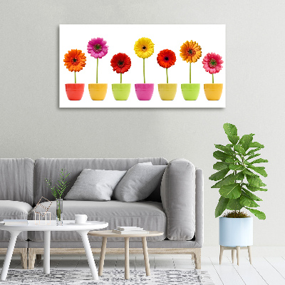 Canvas wall art Colorful gerberas