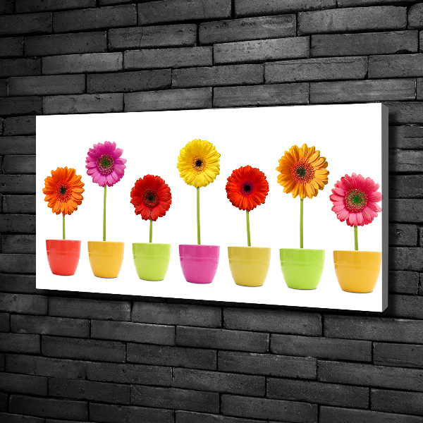 Canvas wall art Colorful gerberas