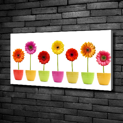 Canvas wall art Colorful gerberas