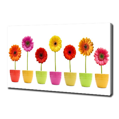 Canvas wall art Colorful gerberas