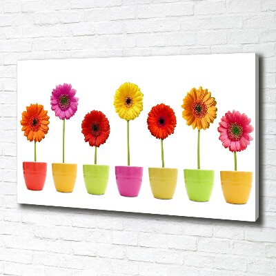 Canvas wall art Colorful gerberas