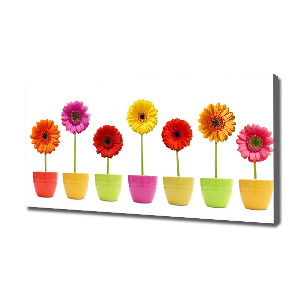 Canvas wall art Colorful gerberas