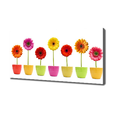 Canvas wall art Colorful gerberas