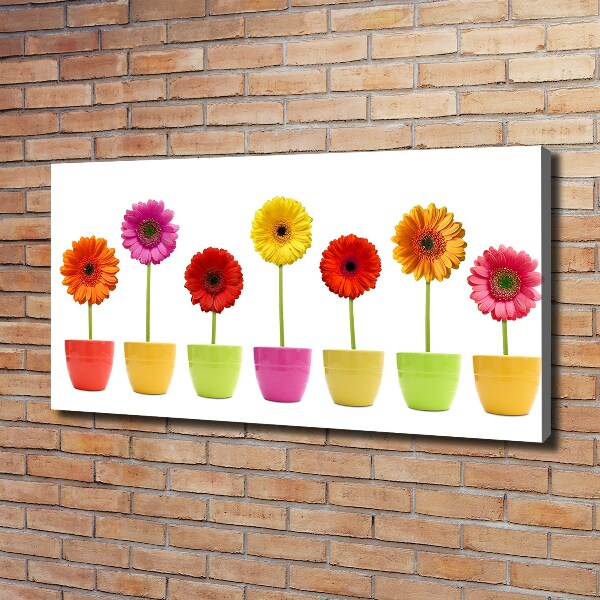 Canvas wall art Colorful gerberas