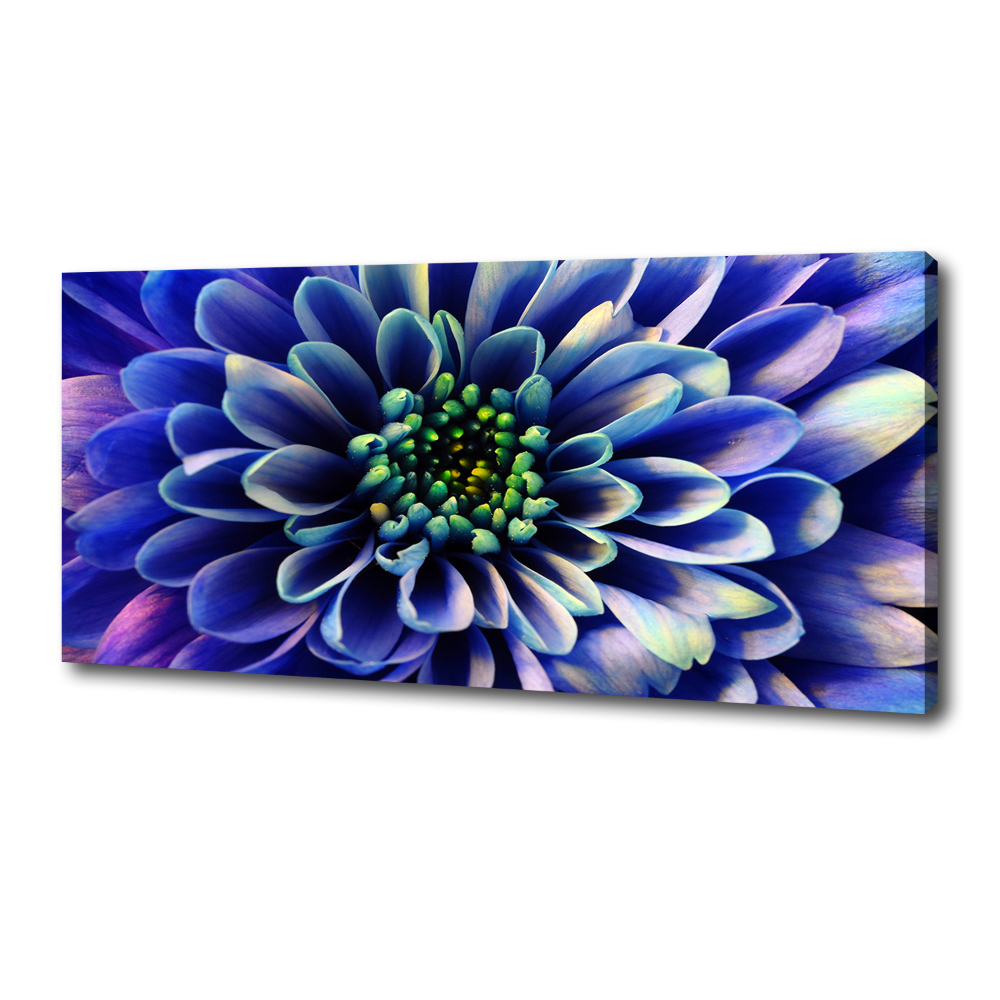 Canvas wall art Aster