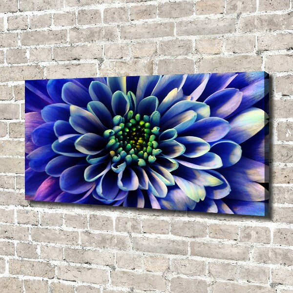 Canvas wall art Aster