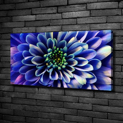 Canvas wall art Aster