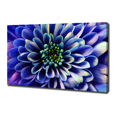 Canvas wall art Aster