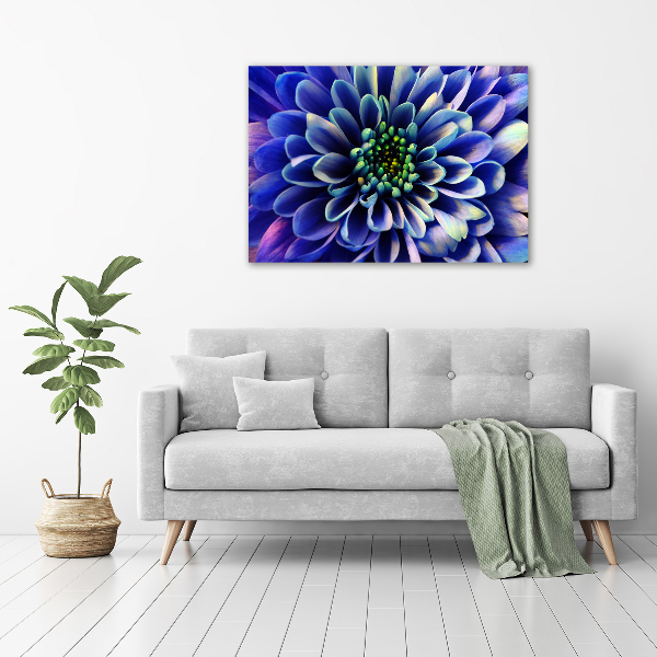 Canvas wall art Aster