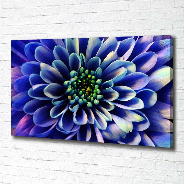 Canvas wall art Aster