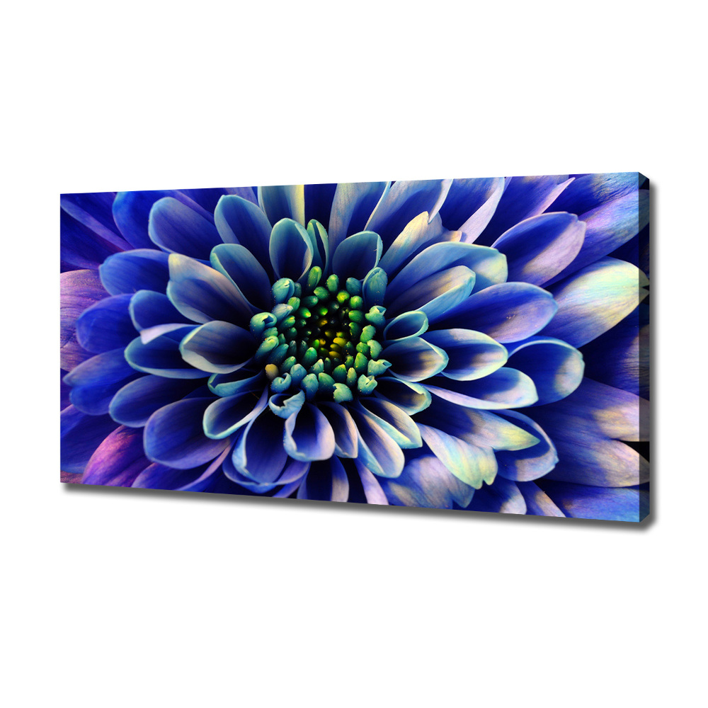 Canvas wall art Aster