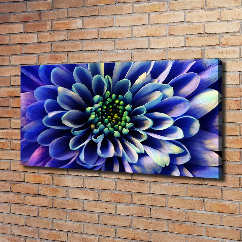 Canvas wall art Aster