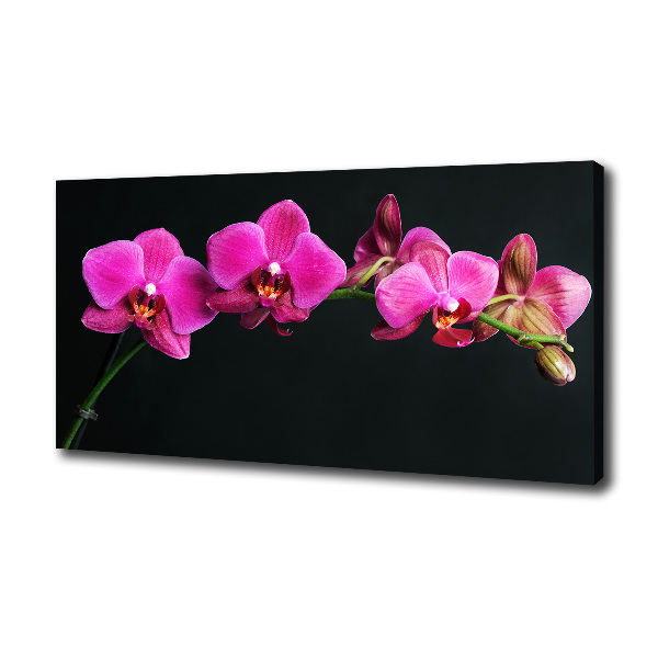 Canvas wall art Orchid