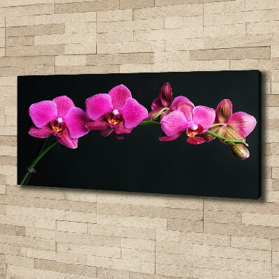 Canvas wall art Orchid