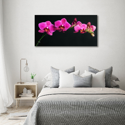 Canvas wall art Orchid