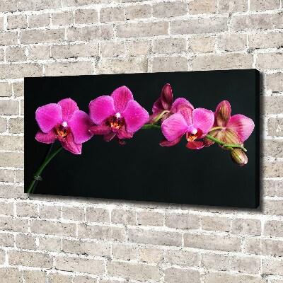 Canvas wall art Orchid