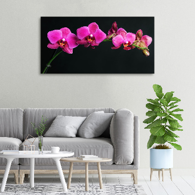 Canvas wall art Orchid