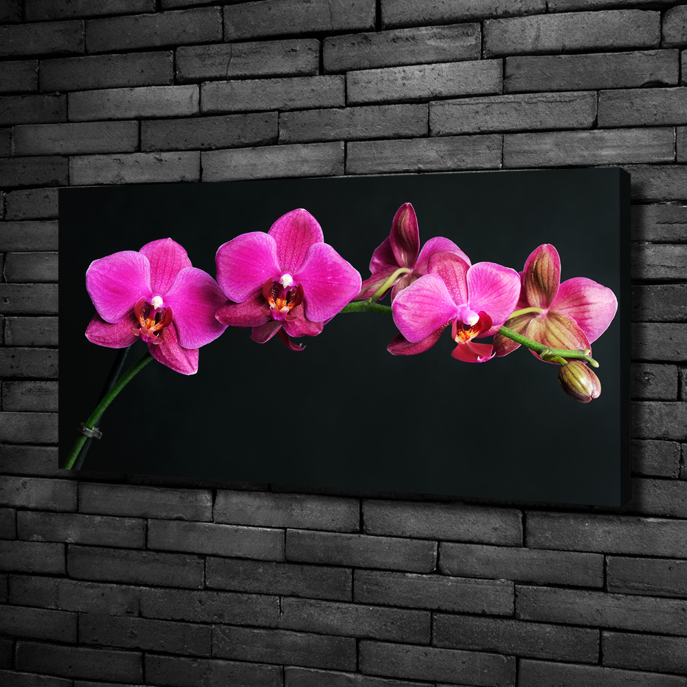 Canvas wall art Orchid