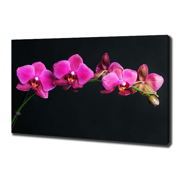 Canvas wall art Orchid