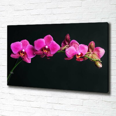 Canvas wall art Orchid