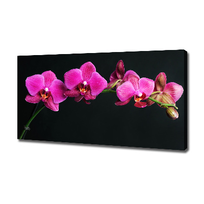 Canvas wall art Orchid