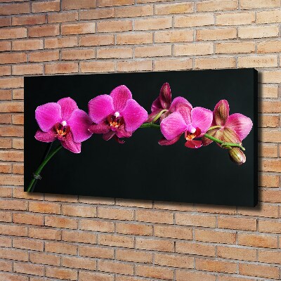 Canvas wall art Orchid