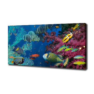 Canvas wall art Coral reef