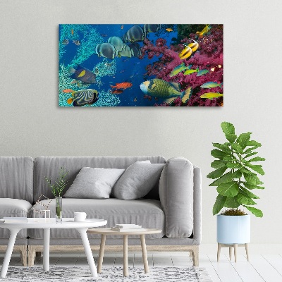 Canvas wall art Coral reef