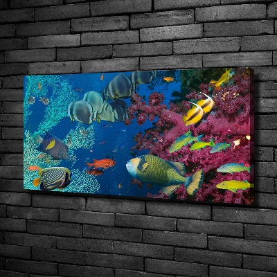 Canvas wall art Coral reef