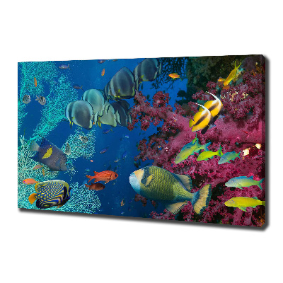 Canvas wall art Coral reef