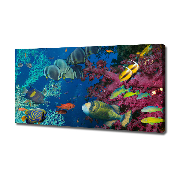 Canvas wall art Coral reef