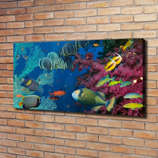 Canvas wall art Coral reef