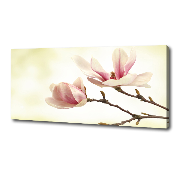 Canvas wall art Magnolia