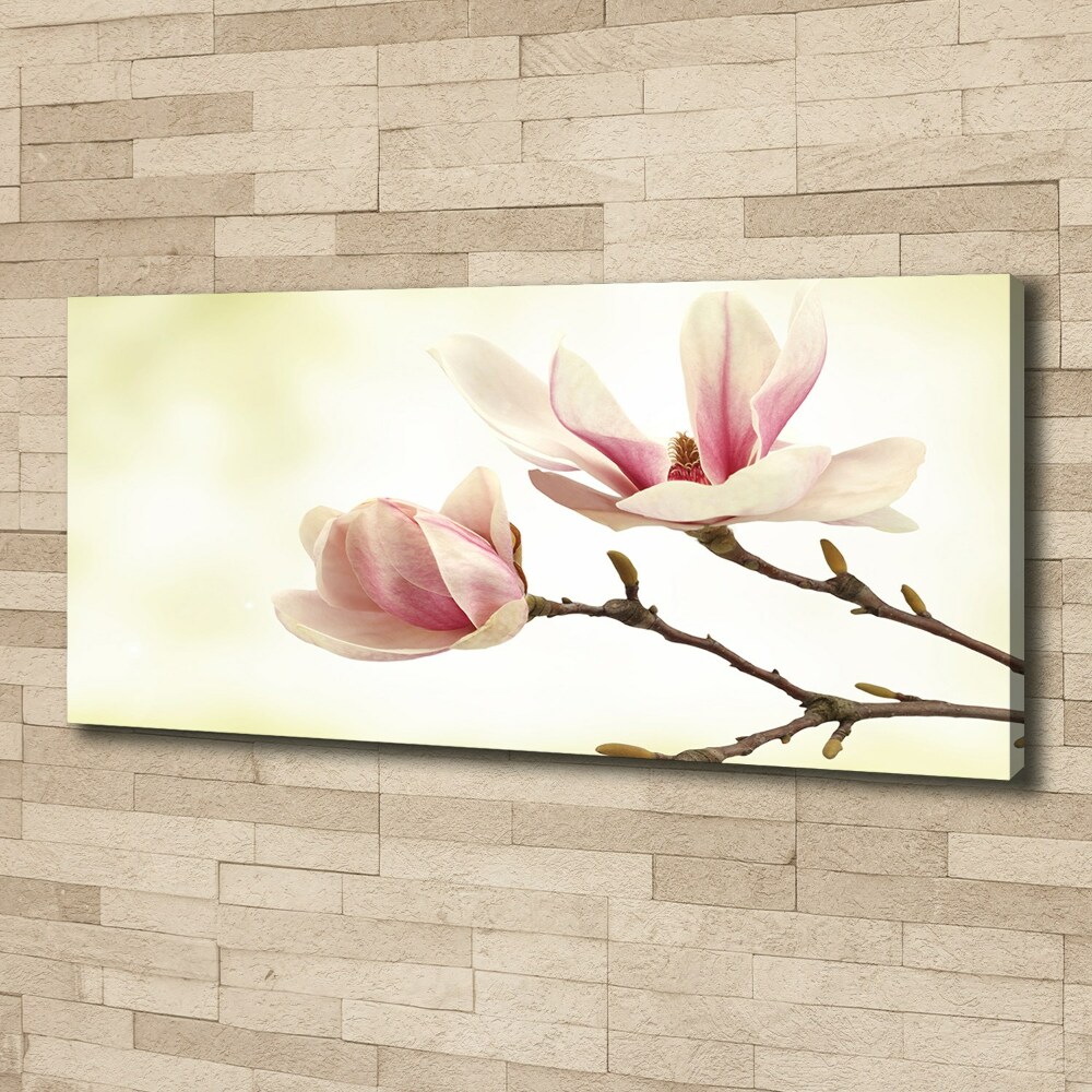 Canvas wall art Magnolia