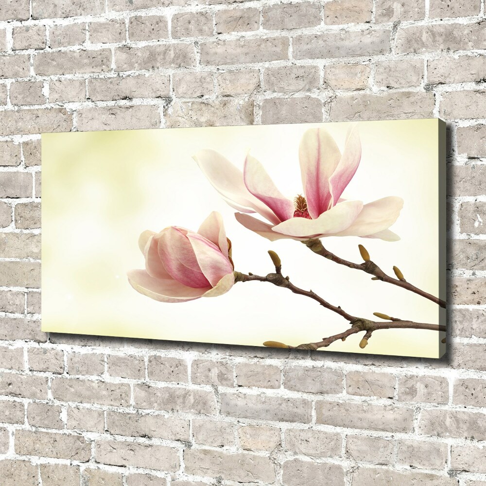 Canvas wall art Magnolia