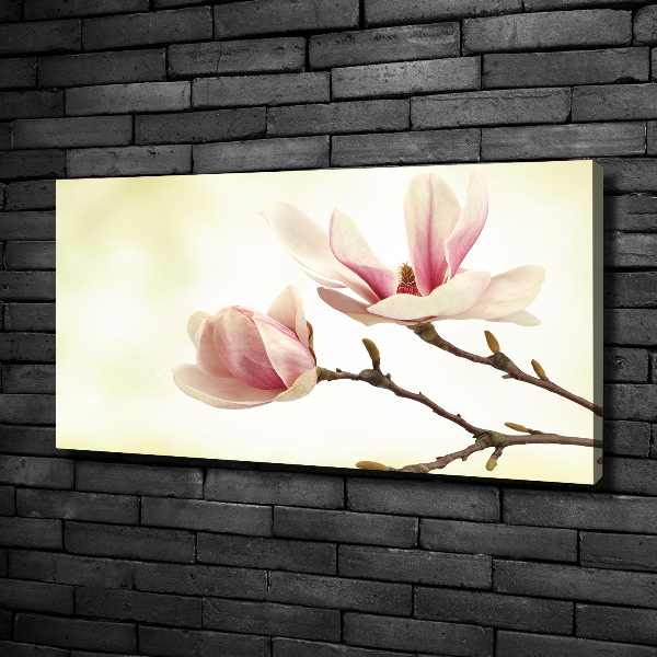 Canvas wall art Magnolia