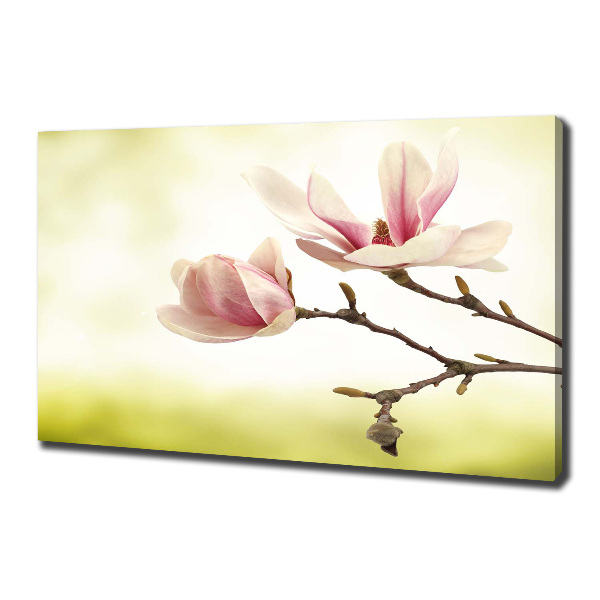 Canvas wall art Magnolia