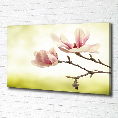 Canvas wall art Magnolia