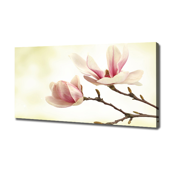 Canvas wall art Magnolia