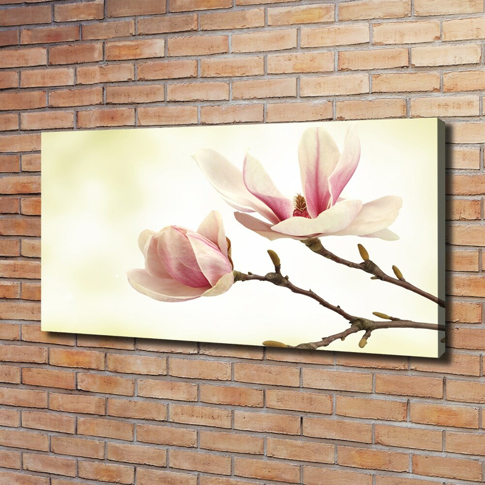 Canvas wall art Magnolia