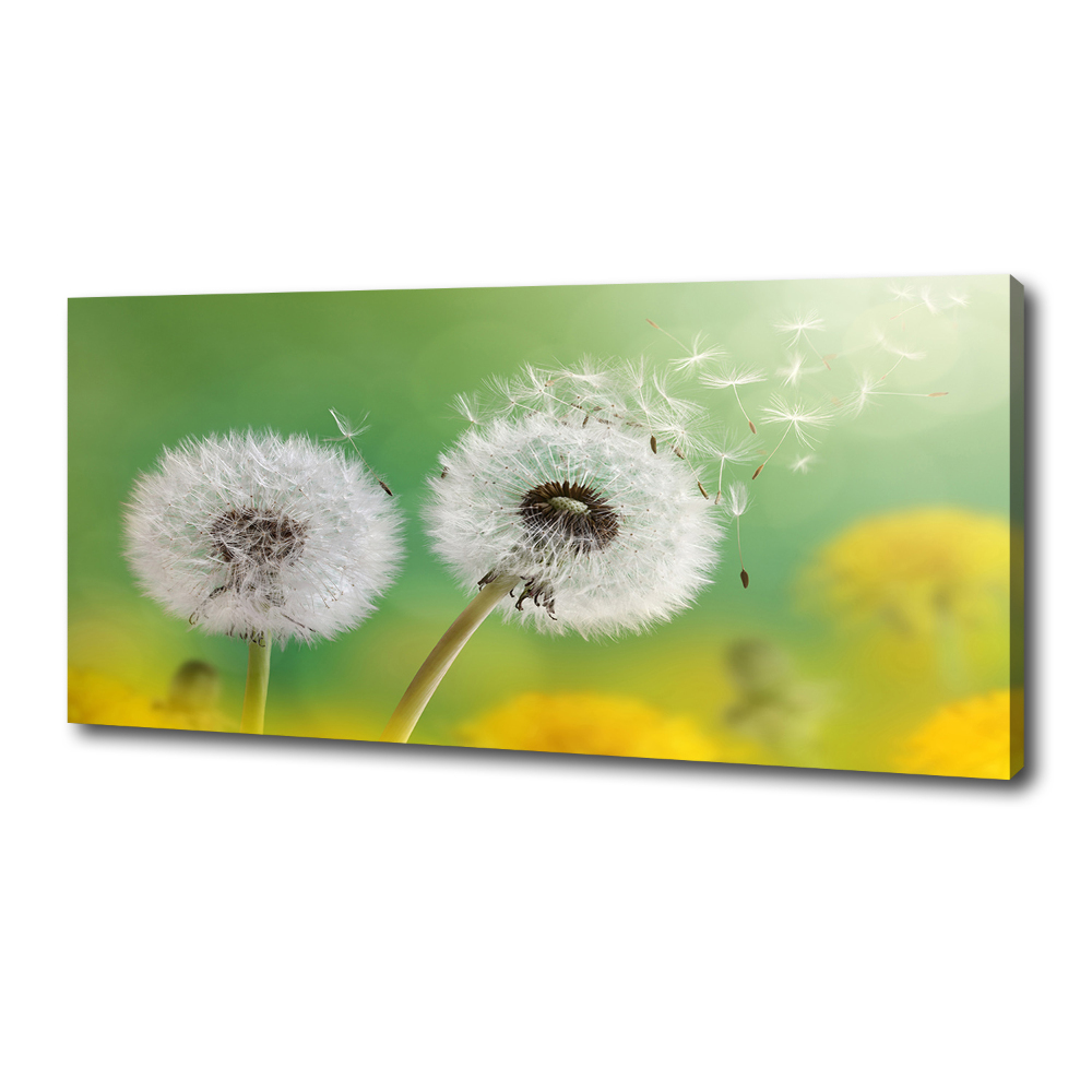 Canvas wall art dandelions