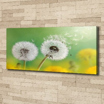 Canvas wall art dandelions