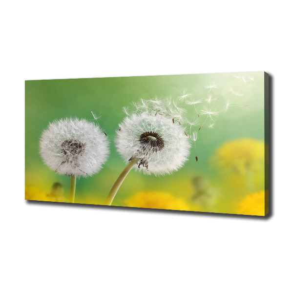 Canvas wall art dandelions