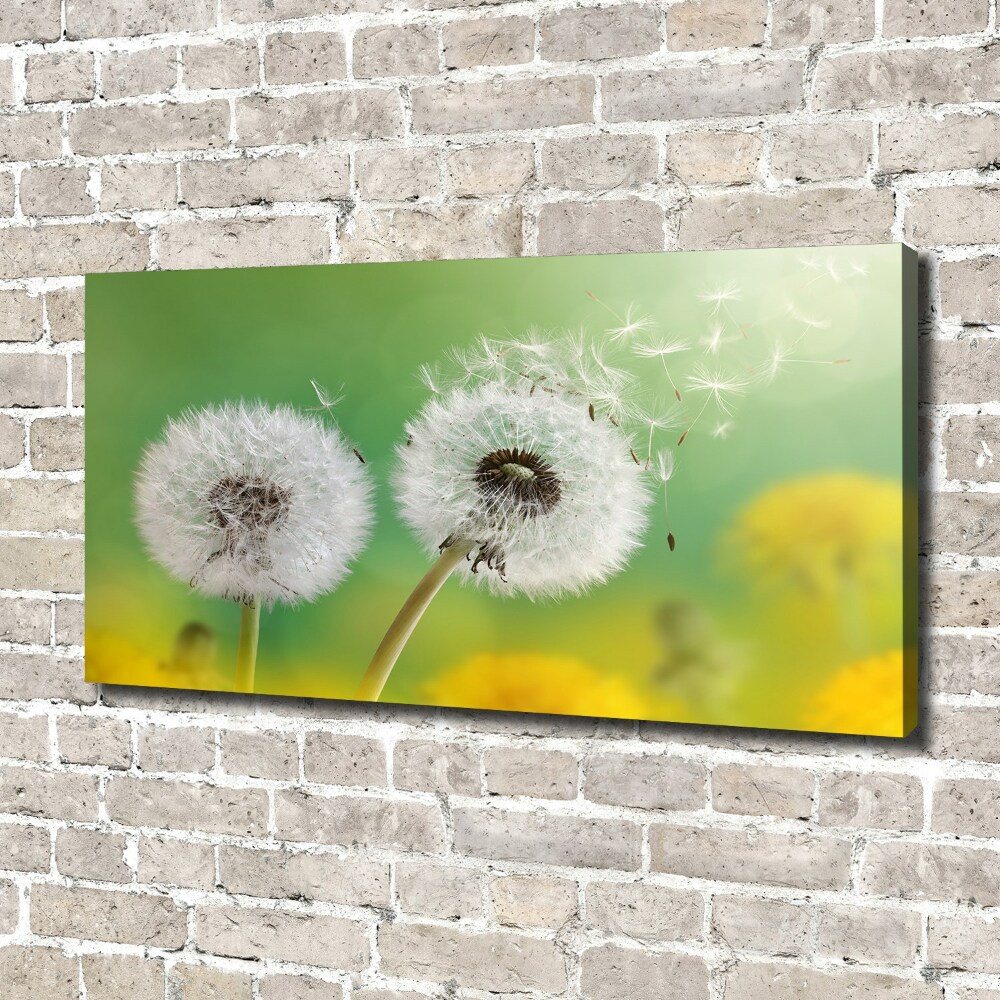 Canvas wall art dandelions