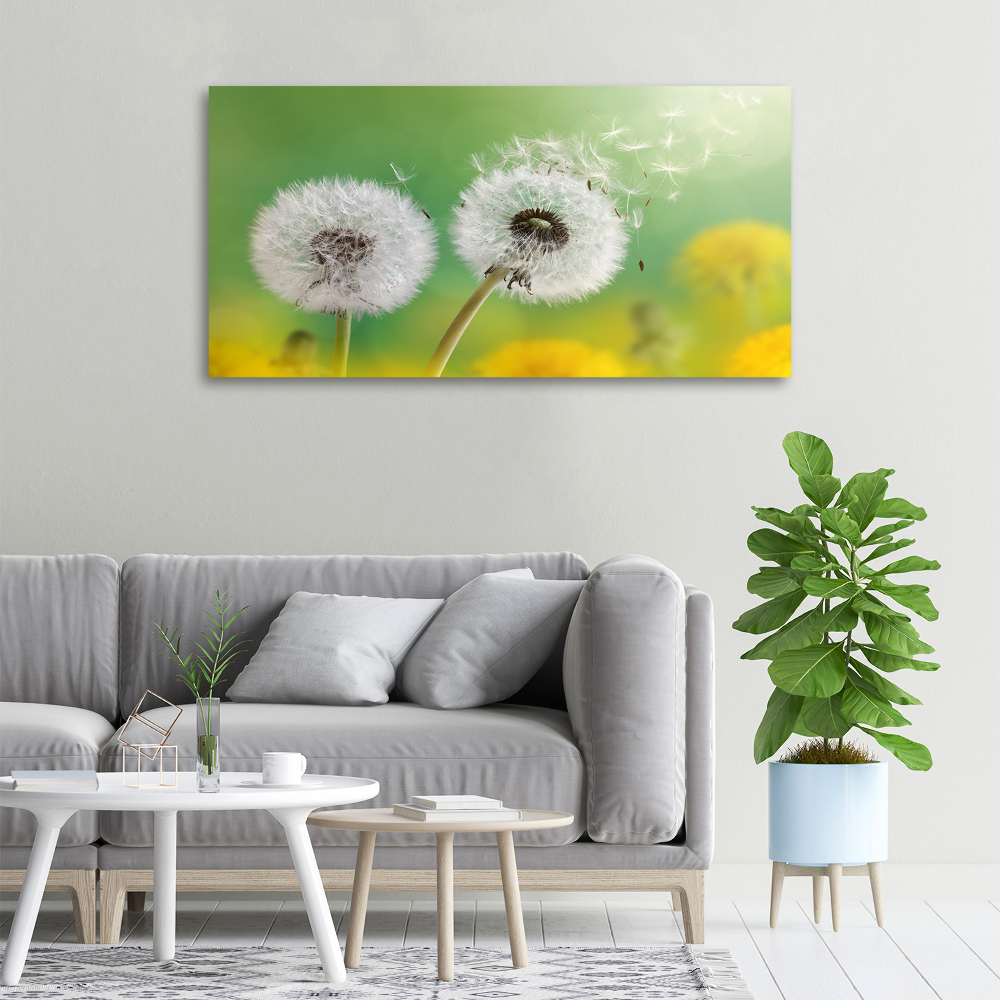 Canvas wall art dandelions