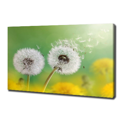 Canvas wall art dandelions