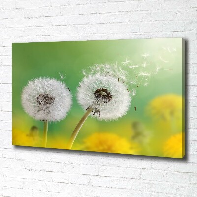 Canvas wall art dandelions