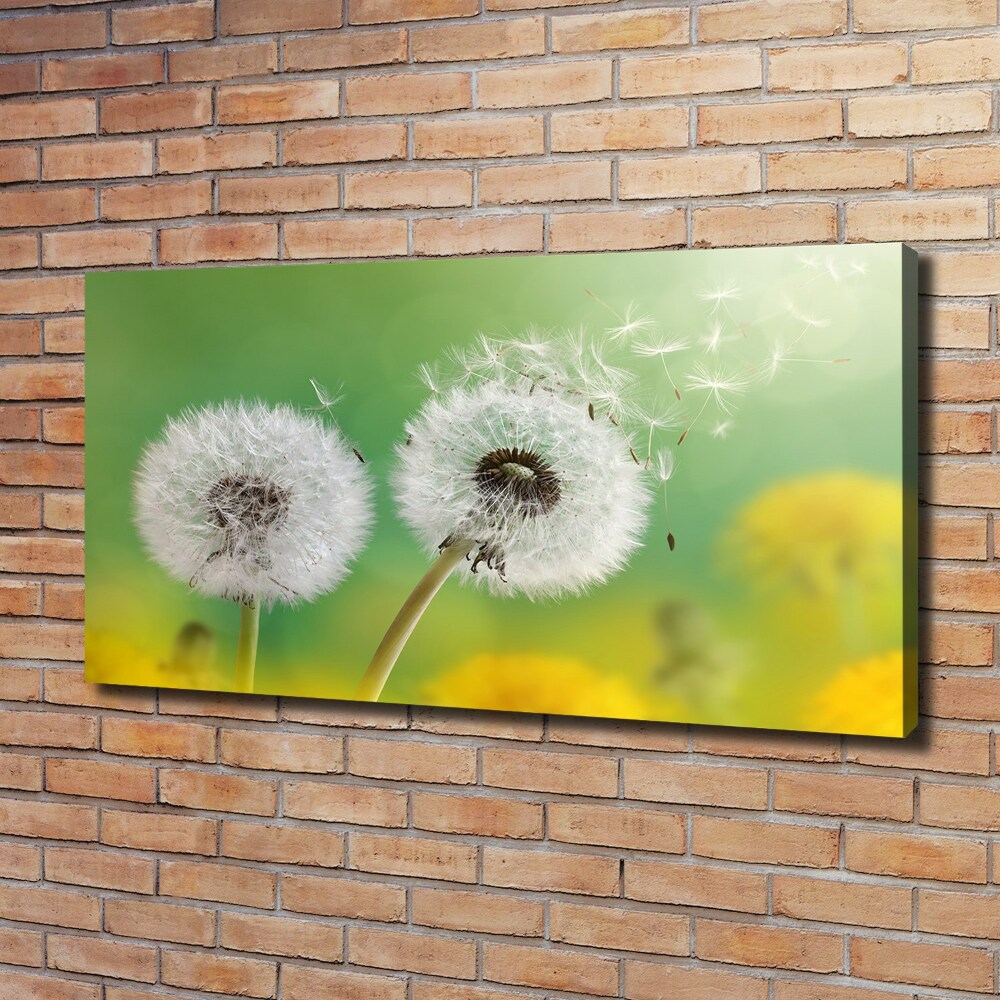 Canvas wall art dandelions