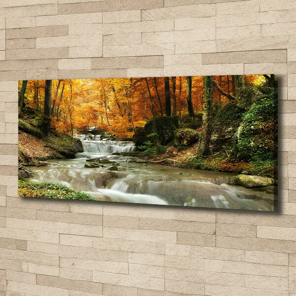 Canvas wall art Waterfall in the forest